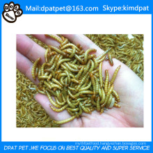 Dried Mealworms for Sale